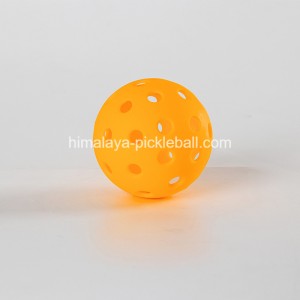 40 hole Pickleball